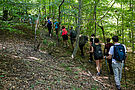 Menschen wandern in einer langen Reihe bergan im Wald