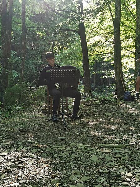 Akkordeonspieler im Wald